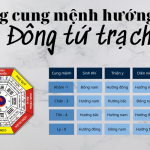 Người thuộc Đông Tứ Mệnh hợp mua nhà hướng nào?