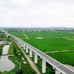 Hải Phòng sắp có thêm tuyến đường 5,5 km qua sông Văn Úc