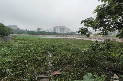 Cập nhật tiến độ dự án Rivea Hanoi Hoàng Mai tháng 11