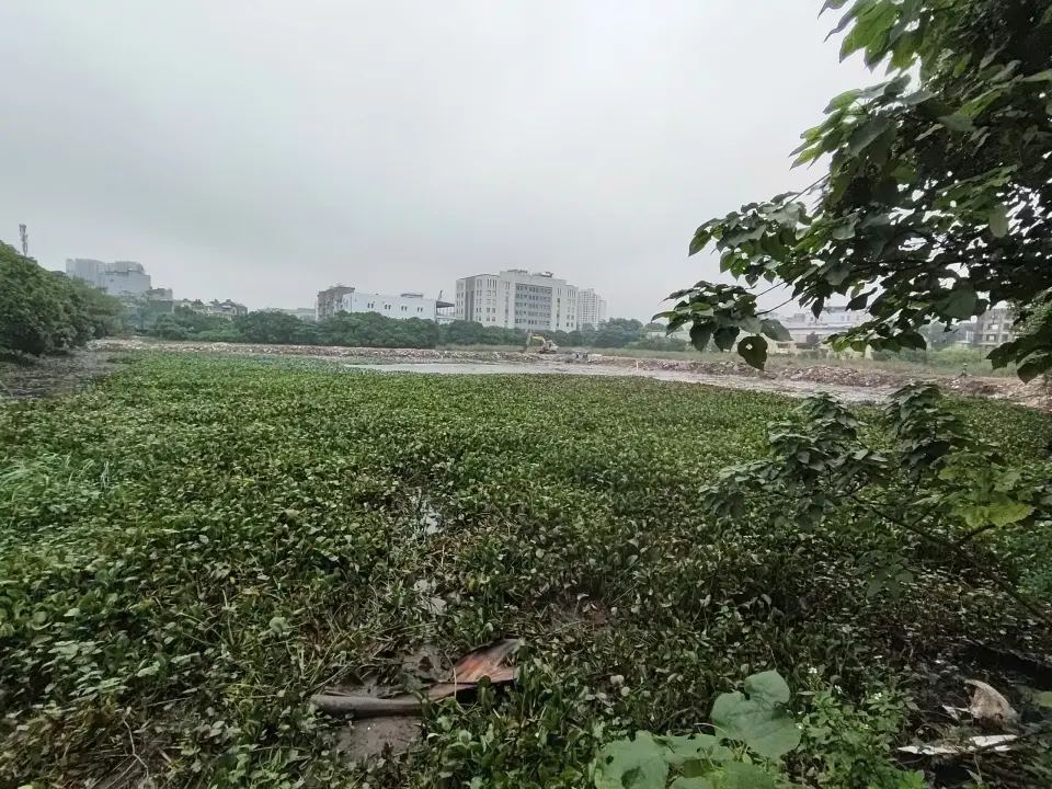 cap-nhat-tien-do-du-an-rivea-hanoi-hoang-mai-thang-11