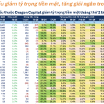 Thị trường tháng 5/2025: Quỹ đầu tư nới lỏng phanh - Niềm tin đang trở lại?