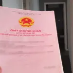 Trường hợp nào được cấp Giấy chứng nhận và miễn tiền sử dụng đất?